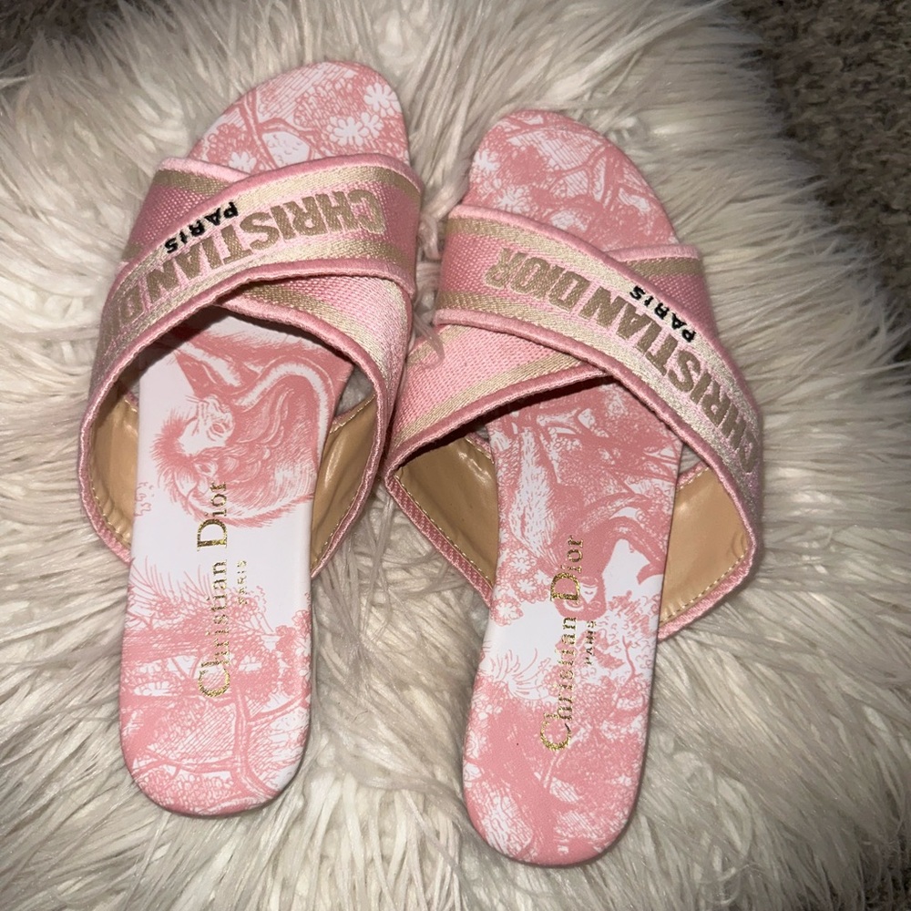 Dior Blush Pink Slide Sandals